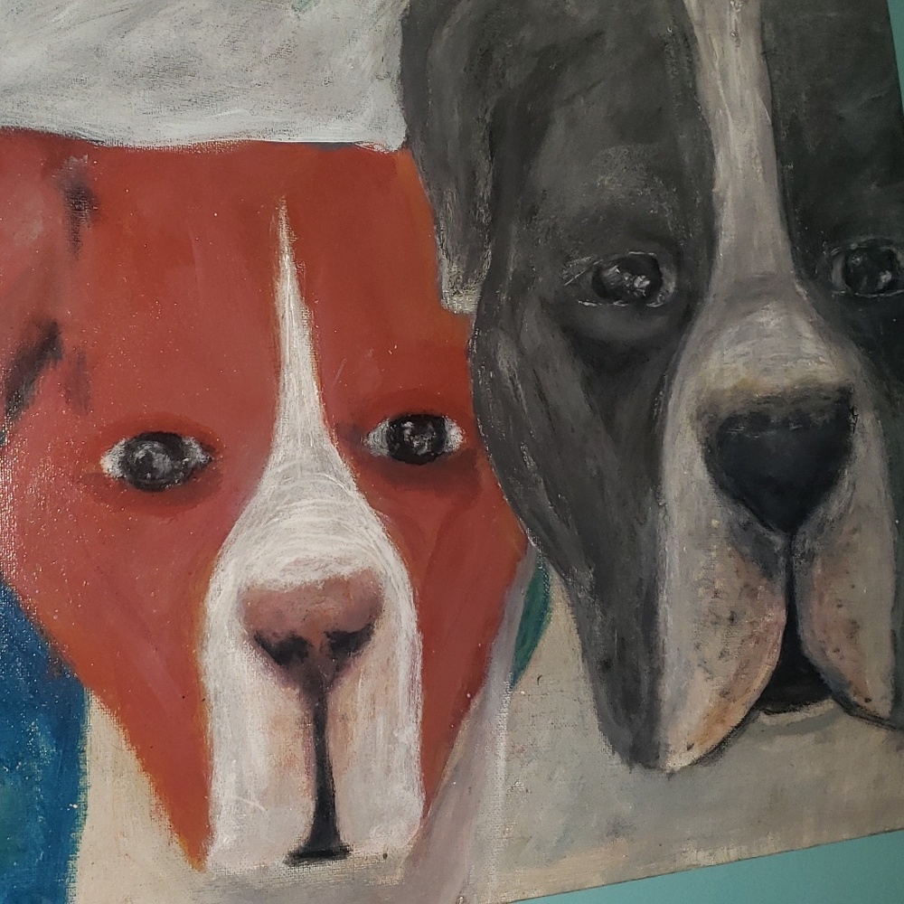 Custom pet portraits